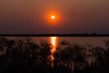 Fototapeta na wymiar Sunset over the Okavango Delta in Botswana