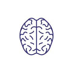 Human brain line icon. Neurobiology, intelligence, human organ. Medicine concept. Vector illustration can be used for topics like health, anatomy, psychology