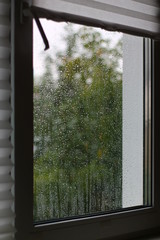 window with raindrops on the glass on an autumn day in cloudy weather