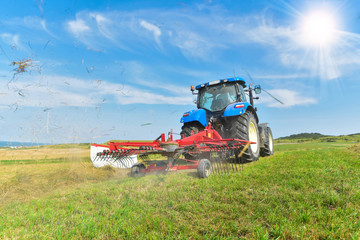 travail d'agriculteur (le fanage)