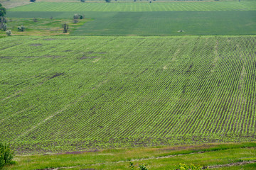 Landscape of rural fields are in spring sunlight, Dnepr, Ukraine.