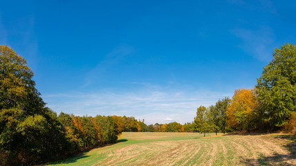 Obraz premium Herbstlandschaft mit Acker und Wald