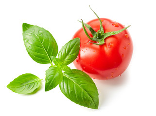 fresh red wet tomato and basil leaves isolated on white background