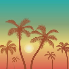 Fototapeta na wymiar Palm trees sunset vector illustration 