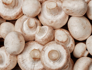Whole button mushrooms background