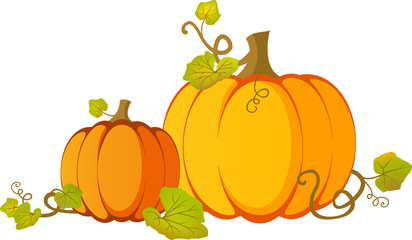 orange pumpkins vector illustration, for thanksgiving & autumn designs