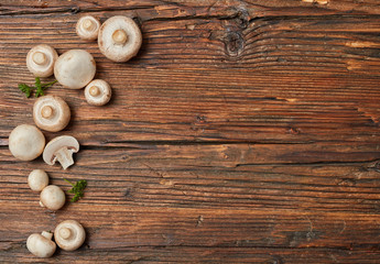 Obraz na płótnie Canvas Farm mushrooms