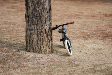 Fototapeta na wymiar Bici para niños apoyada en un árbol