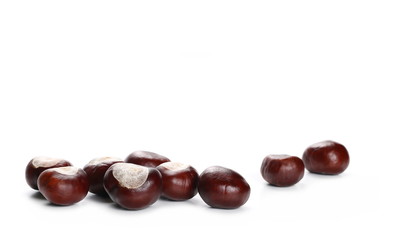 Chestnuts isolated on white background