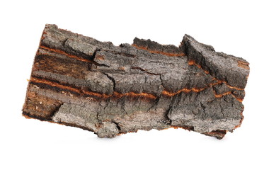 Tree bark isolated on white background