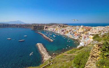 Obraz premium Amazing colourful Procida Island in sunny summer day, Italy