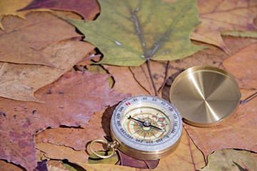 Small compass on falling maple leaves. Navigation abstract photo