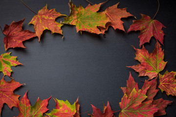 Naklejka na ściany i meble Overhead view of colorful fall leaves