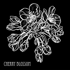 hand drawn floral decoration © Chantal