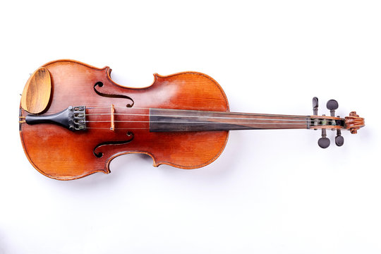 Violin isolated on white background. Studio shot of old violin. Classical musical instrument.