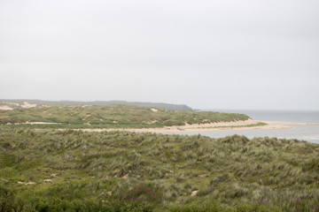 View of Ocean over Grassy Beach