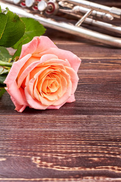 Pink rose and trumpet on wooden background. Fresh rose and musical instrument on textured wood with copy space, vertical image.