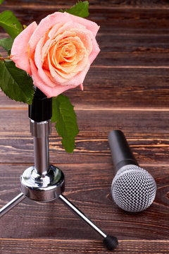 Pink rose and microphone on wooden background. Delicate rose with dew drops and gray microphone on brown wood, vertical image.