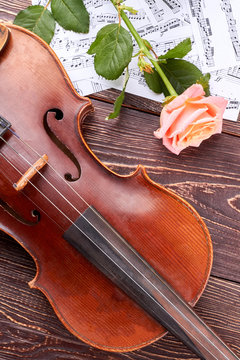 Violin, musical notes and pink rose. Old brown violin with musical sheets and rose on wooden background, vertical image.