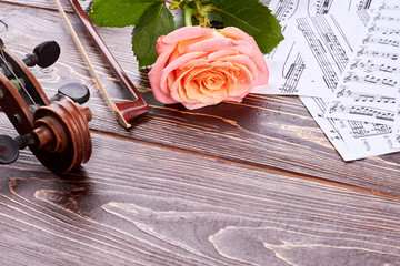 Classical instrument on wooden background. Violin, bow, musical notes and rose flower with copy...