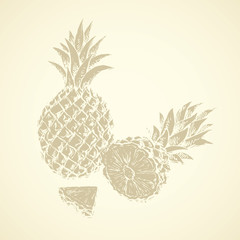 Pineapple. Vector drawing