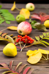 Close-up of autumn yellow, red leaves and fruit on wooden background Golden autumn