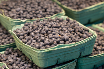 Closeup of a cardboard full of fresh organic blueberries fruits at a pubic market