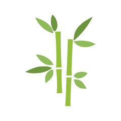 Tropical leaves bamboo tree icon