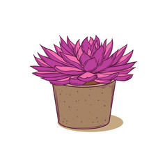 Succulent plant in concrete pot. Hand drawn vector illustration. For postcards, tags, web, advertising. Isolated on white background.