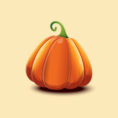 Realistic vector illustration with pumpkin isolated on light background.