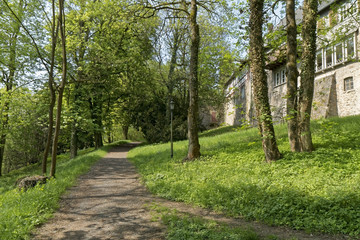 Park in spring - crossroads of paths.