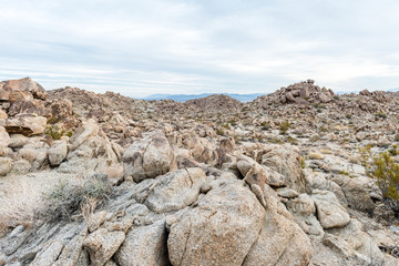 Dawn in the Porcupine Wash wilderness area in Joshua Tree National Park, California