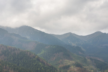 Fototapeta premium Mountains covered with fog during the day. Polish Tatras