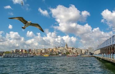 Galata Tower, Galata Bridge, Karakoy district and Golden Horn, istanbul – Turkey