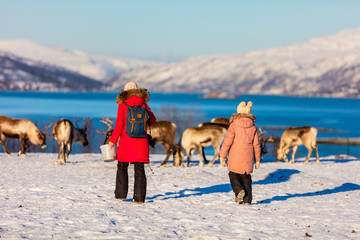 Family with reindeer
