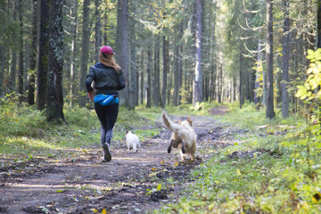 Walk with the dog in the Park. Jogging with a dog on the street .
