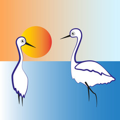 Two white herons stand in the lake in the evening.