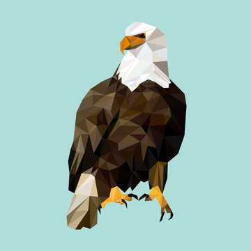 Triangle Eagle Images – Browse 5,343 Stock Photos, Vectors, and Video ...