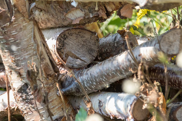 Wood pile close up, sunny day.