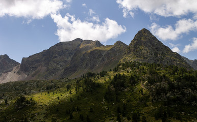 Light Reflected in the Forest Amidst the Mountains