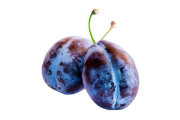 Two blue plums isolated on white background. Summer fruit with a stone. Healthy food. Natural vitamins.