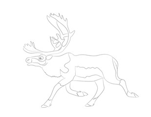 deer running, vector lines