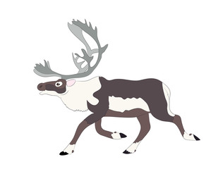  drawing of the deer which runs, vector