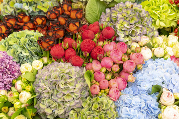 Wall of flowers and herbs.