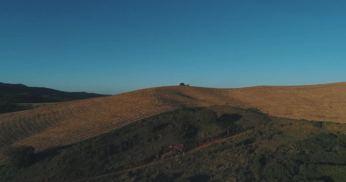 Aerial image of a wheat plantation with working tractor, drone scene