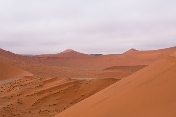 Fototapeta na wymiar Sand dunes at Sossusflei in Namibia