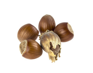 hazelnut on isolated white background