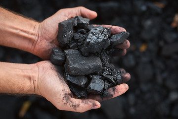 poor middle-aged man holding the hands of stone coal for sale to provide food for his family