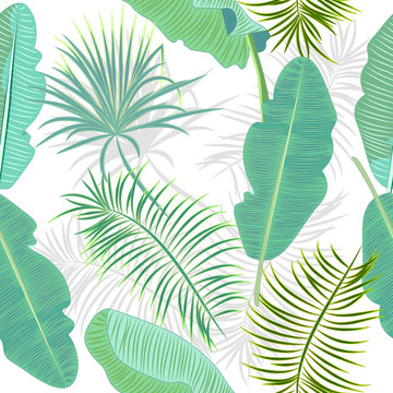 Seamless pattern of leaves banana. Tropical leaves of palm tree.
