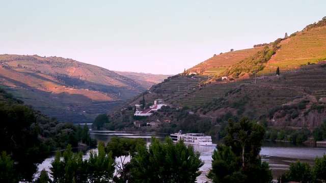 vineyard hills in the river Douro valley, Portugal